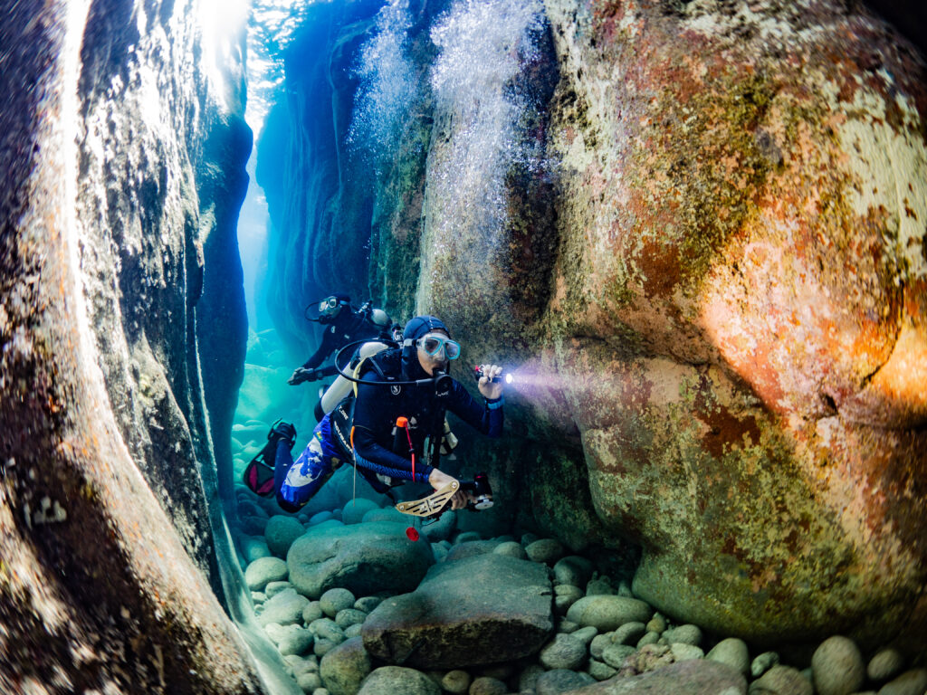 CONSERVING THE BIODIVERSITY IN THE ANAMBAS